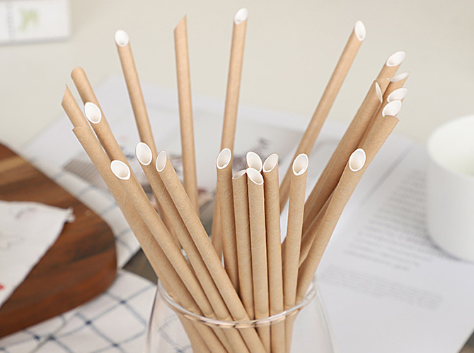 Paper Straws