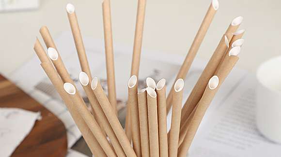 Paper Straws